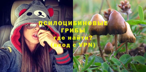 ешки Беломорск