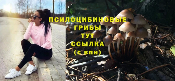 амфетамин Белокуриха