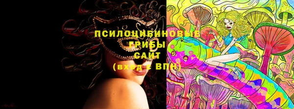амфетамин Белокуриха